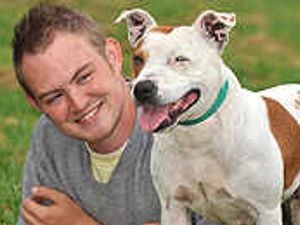 Supporting image for story: Home needed for Damsel in distress