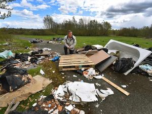 Supporting image for story: 'Young Steptoes' dumping rubbish in Walsall from their horse and cart