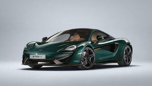 Supporting image for story