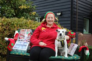 Supporting image for story