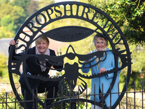 Supporting image for story: Buzzard sign swoops in to mark the Way for Shropshire walkers