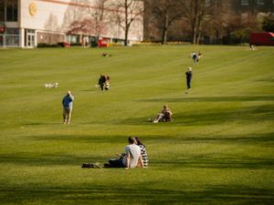 Supporting image for story: Stay local and don't risk a hug this Easter, urge health bosses