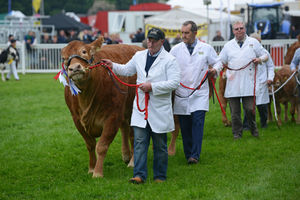 Supporting image for story