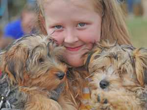 Supporting image for story: Animal lovers flock to charity's fun day with chance to see famous rescued dog