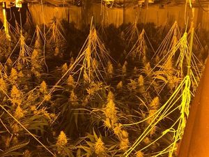 Supporting image for story: Two charged after police discover cannabis farm in Willenhall