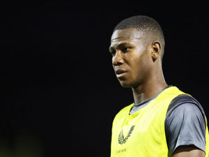 Supporting image for story: Wolves' loan stars set to face D-Day