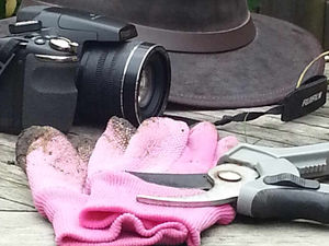 Supporting image for story: Profile: Kara Hood