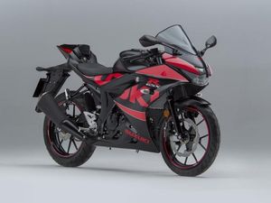 Supporting image for story: Suzuki announces accessory and graphics packs for GSX-R125