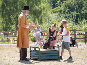 Supporting image for story: Dog show cancelled due to heat will take place later this month