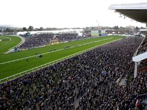 Supporting image for story: Bridgnorth horse Luccia a favourite at Cheltenham