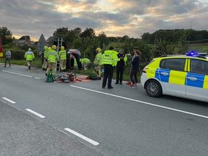 Supporting image for story: Woman taken to hospital after car veers into hedge