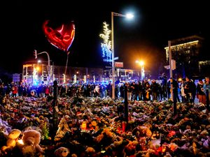 Supporting image for story: Musk causes uproar by backing German far-right party ahead of key elections