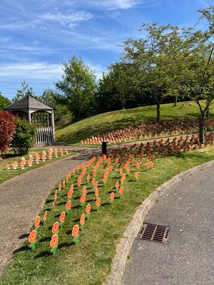 The 2025 Celebrate Lives Lived garden planted out for the opening ceremony