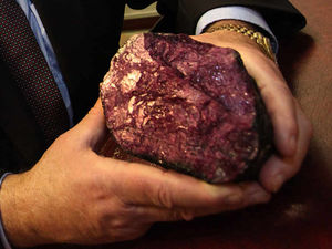 Supporting image for story: 'Wrekin ruby' business bosses handed bans