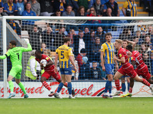 Supporting image for story: Charlton v Shrewsbury - Match preview 