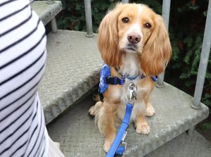 Rogue has given Debbie her independence back