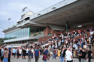 Wolverhampton Racecourse will host the first combined horse and greyhound racing fixture on Saturday, March 7.