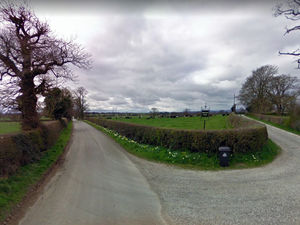 Supporting image for story: Log cabin plan hopes to boost Shropshire farm's income