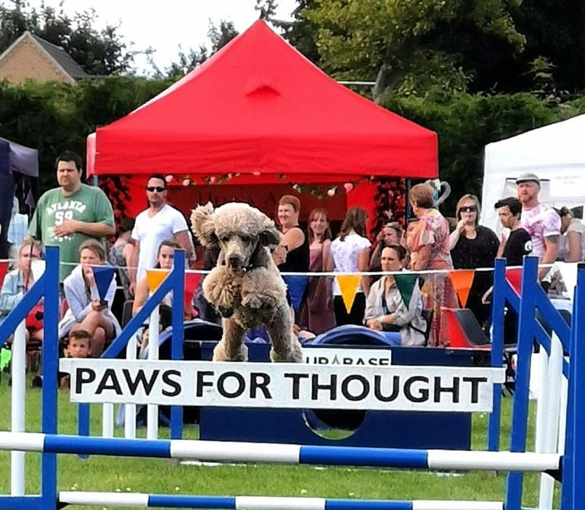 Newport Show 2026: Packed line-up revealed for Shropshire show named Best Rural Event of the Year Newport Show 2026: Packed line-up revealed for Shropshire show named Best Rural Event of the Year