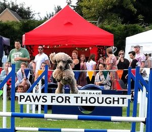 Newport Show returns on July 11.