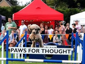 Supporting image for story: Newport Show 2026: Packed line-up revealed for Shropshire show named Best Rural Event of the Year