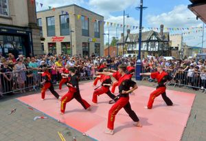 Academy Martial Arts put on a display at Stourbridge Carnival