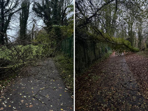 Supporting image for story: Telford parkrun cancelled after Storm Claudia brings trees down on course