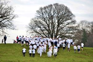 Highlights from the White Run