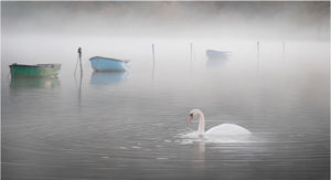 Serenity - John White - First Place Advanced Class