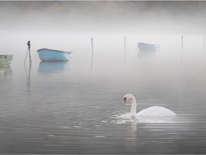 Supporting image for story: Winners revealed in Tettenhall Wood Photographic Club contest