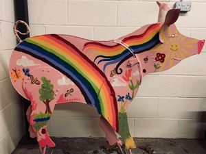 Supporting image for story: Trotters Trail back on track in Tamworth  