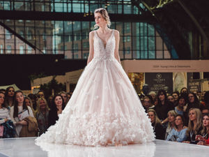 Supporting image for story: National Wedding Show coming to Birmingham