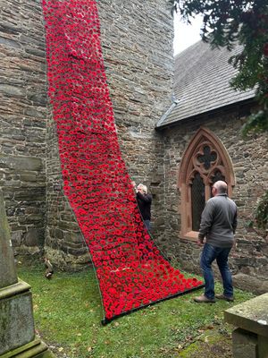 The poppy waterfall.