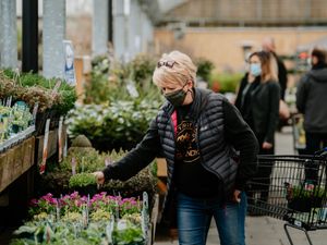 Supporting image for story: Gardening heaven as garden centres reopen in Wales 