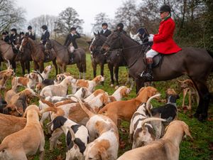 Supporting image for story: Government’s pledge to ban trail hunting in spotlight as Boxing Day hunts meet