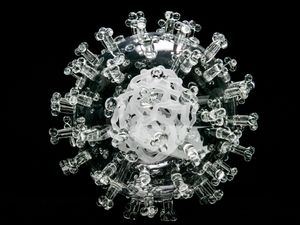 Supporting image for story: Kent virus variant ‘more transmissible, but does not increase disease severity’