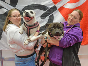 Supporting image for story: Community and competition the key as Crufts crowds brave the snow for world's biggest dog show