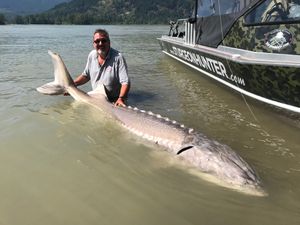 Supporting image for story: You're going to need a bigger boat! Shrewsbury angler lands this 9ft 4ins monster fish
