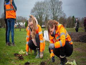 Supporting image for story: Volunteers needed to plant 17,000 trees for Commonwealth Games legacy