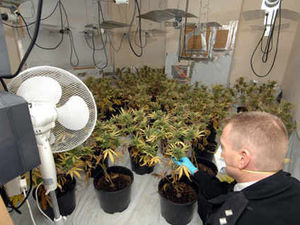 Supporting image for story: Drugs seized in Telford house raid