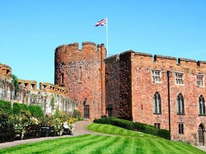 Supporting image for story: Shrewsbury Castle survey hints at large building with tower