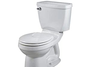 Supporting image for story: Peter Rhodes: The robots are taking over – starting in the loo