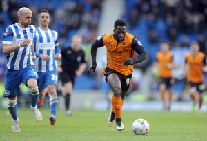 Bruno has earned cult hero status at Brighton (AMA/Sam Bagnall)