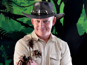 Supporting image for story: Half-term animal antics at Ludlow Assembly Rooms