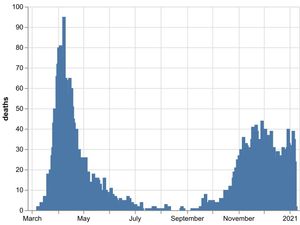 Supporting image for story: 31 more deaths in region's hospitals from coronavirus