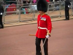 Supporting image for story: Telford's Vern Stokes walks the Mall for the final inspection of troops involved in Queen's funeral