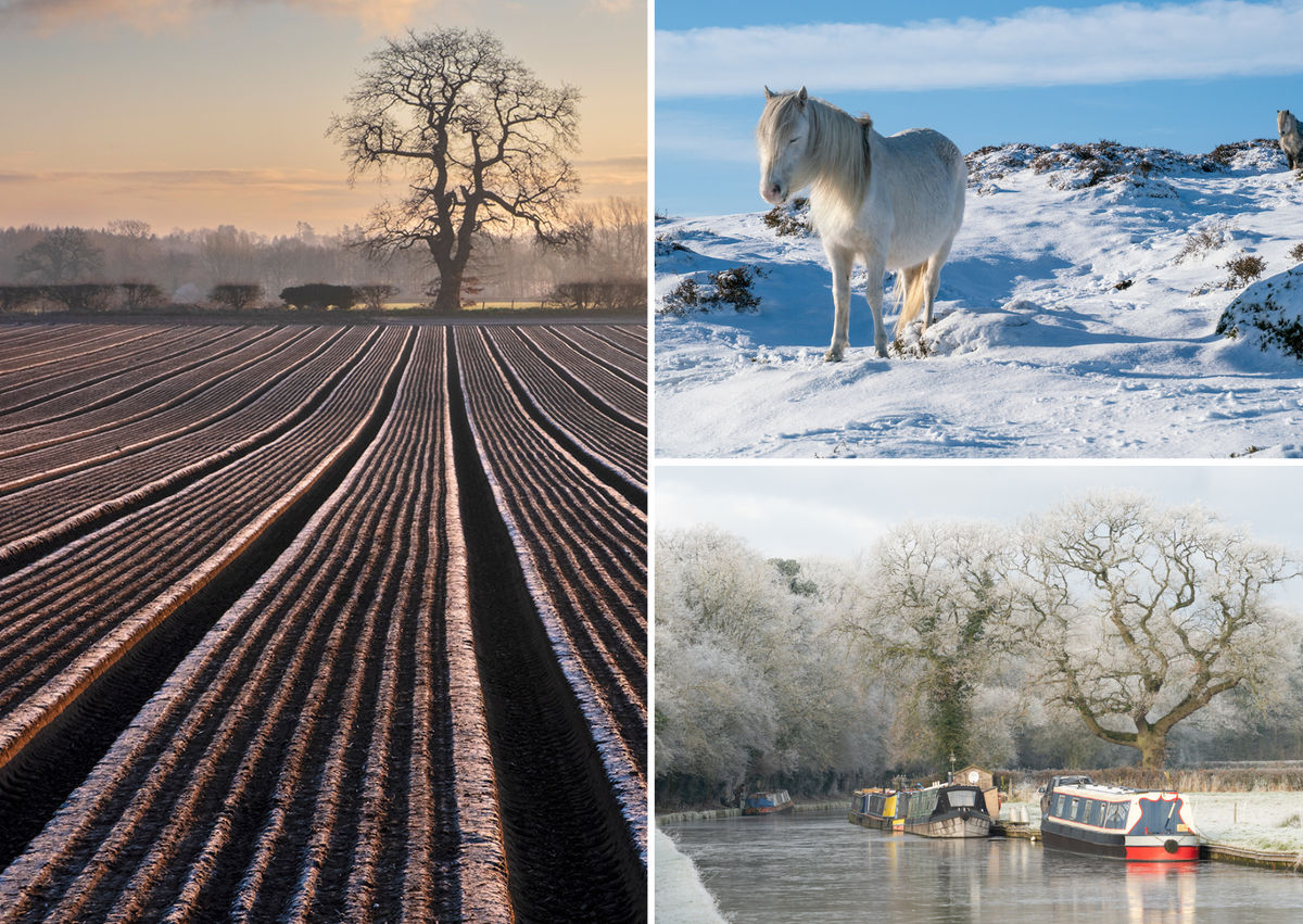 46 stunning photographs of Shropshire in winter - captured by Newport photo club