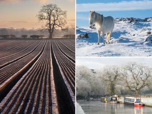 Supporting image for story: 46 stunning photographs of Shropshire in winter - captured by Newport photo club
