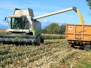 Supporting image for story: Farm support payments to be used to help the environment after Brexit 