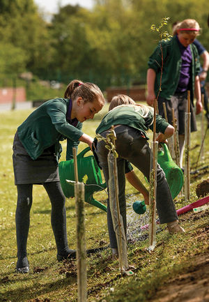 The Tree Appeal aims to support school communities throughout the UK, as well as forest regeneration projects in Kenya